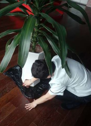 綠植租擺