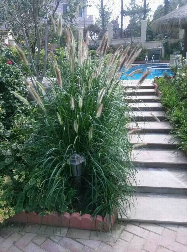 園林綠化