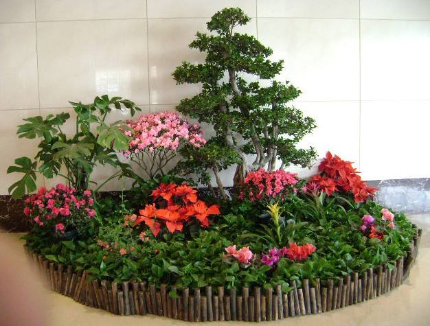 綠植租擺