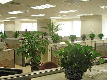 綠植租擺
